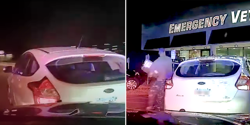 Pet Owner Gets Tased After High-Speed Chase Getting Cat to the Vet